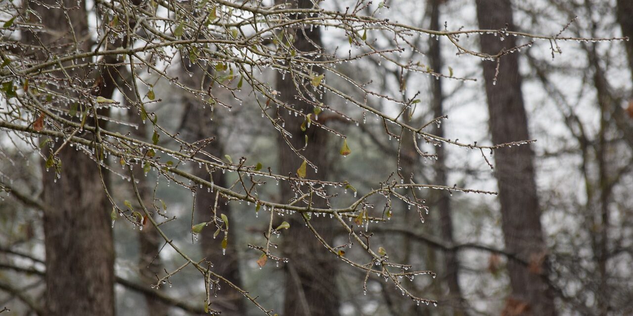icicles-1156657_1280