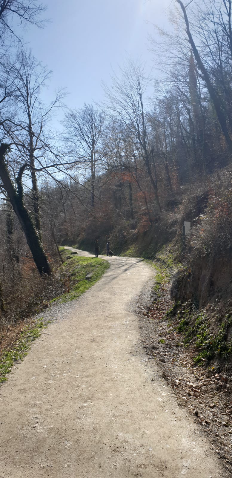 image10