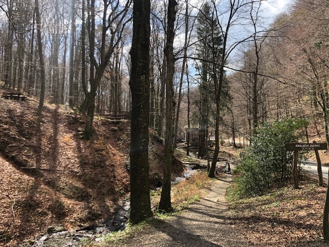 image13