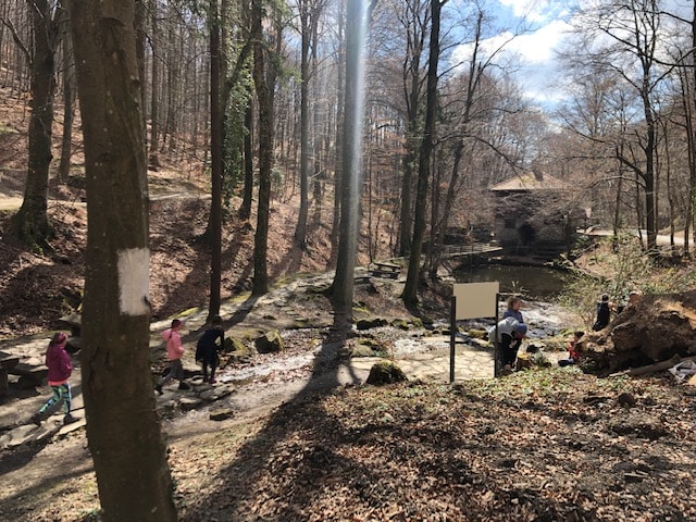 image15