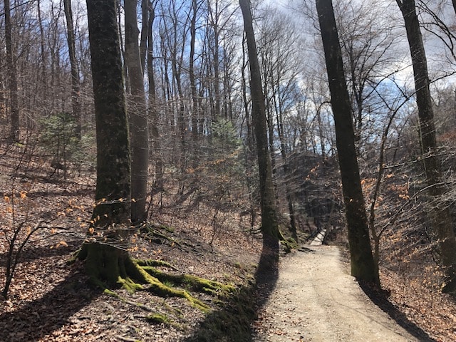 image21