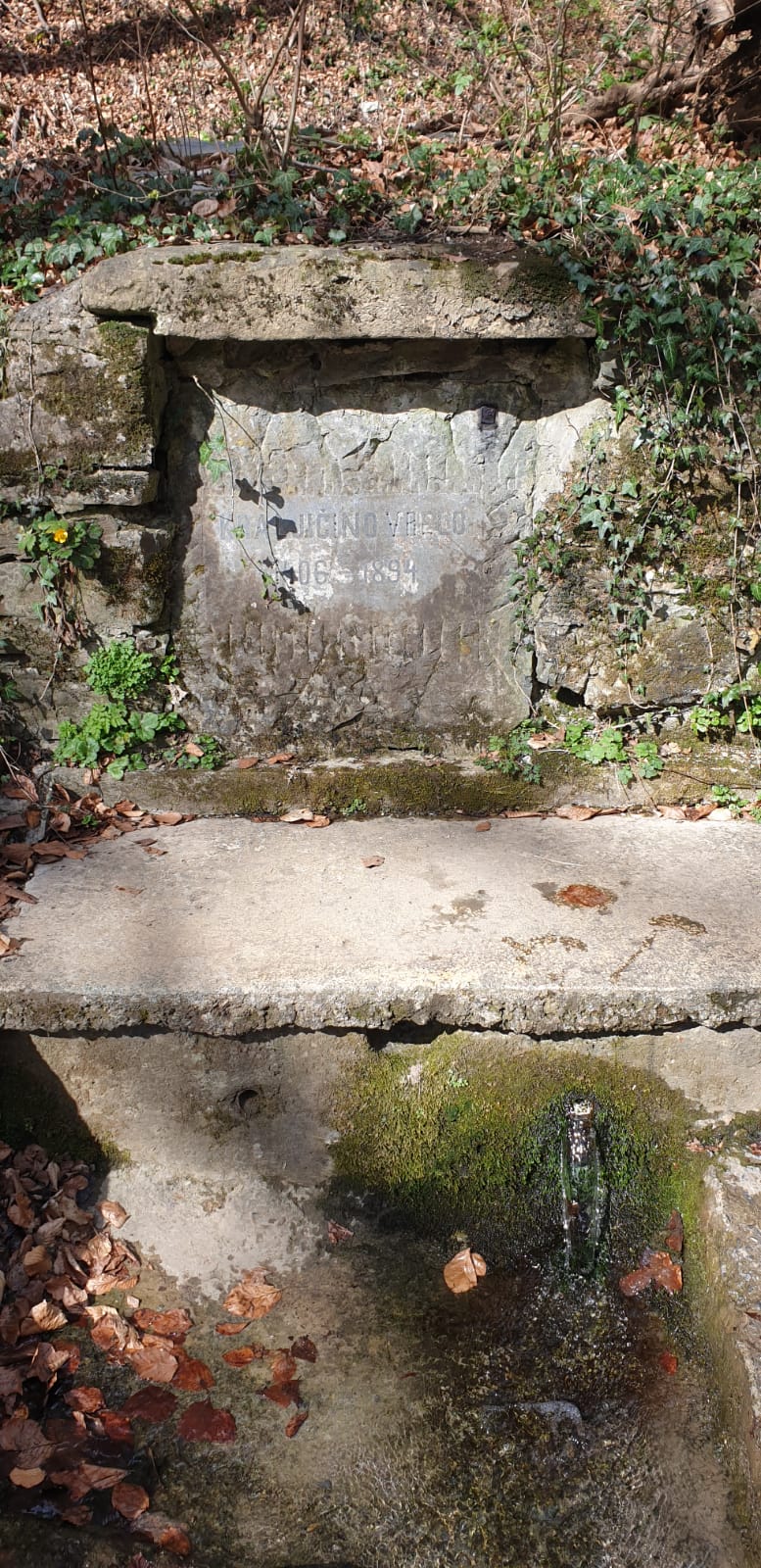 image4