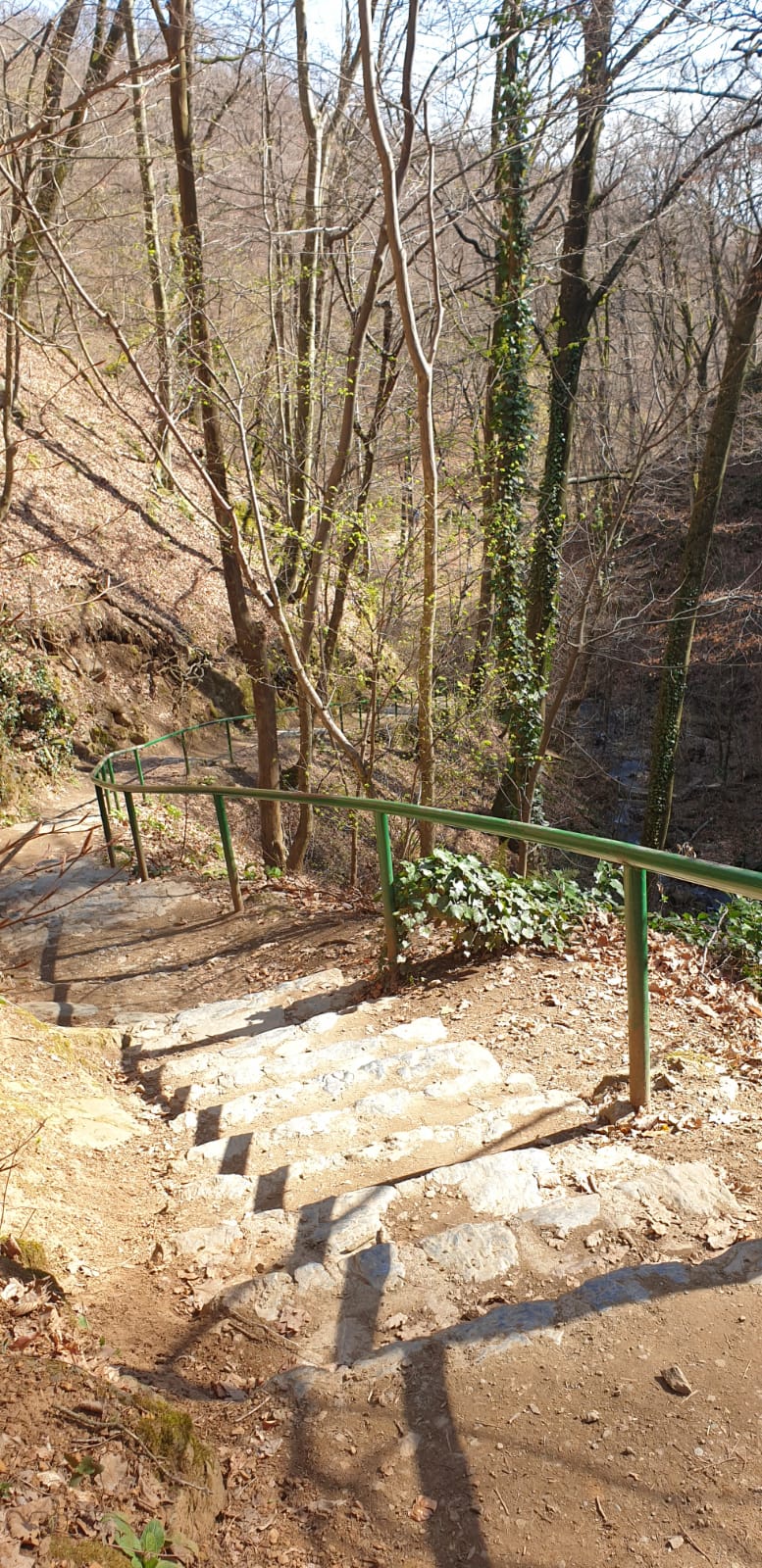 image5