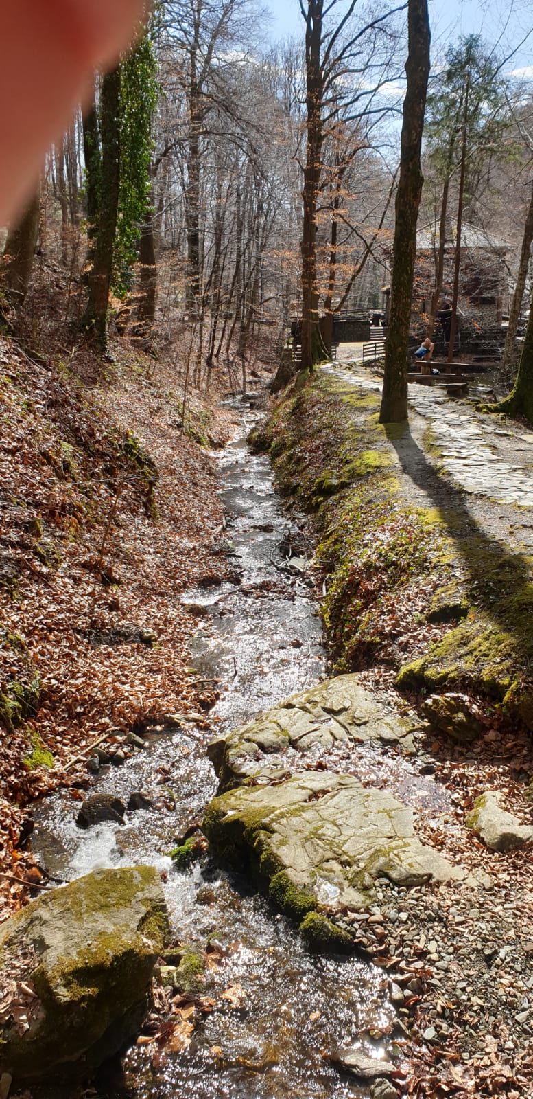 image8