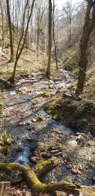 image9