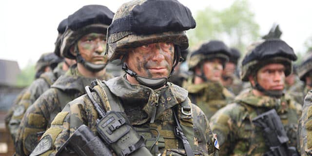 Dan uva�enih gostiju na vojnoj vje�bi “Immediate Response 19”