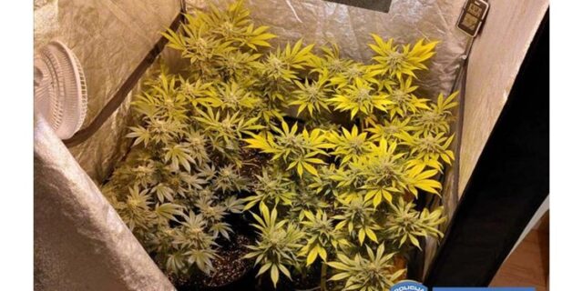 indoor.pula2