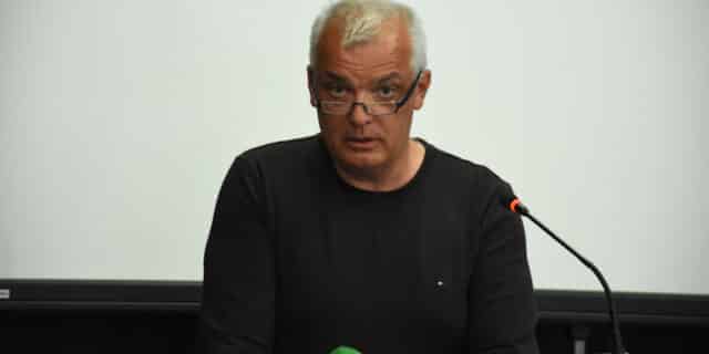 javor bojan les