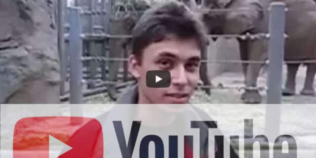 Jawed Karim