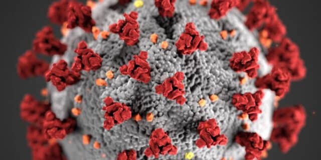 koronavirus2-2