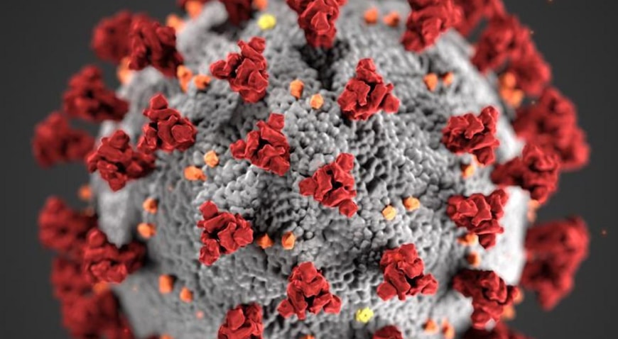 koronavirus2