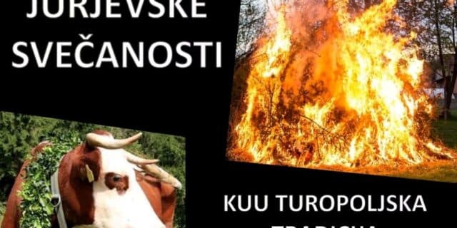 kosnica