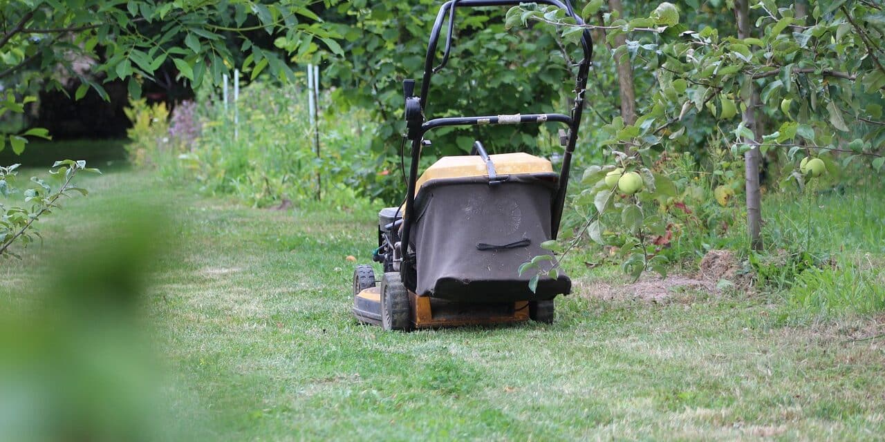 lawn-mower-4338290_1280
