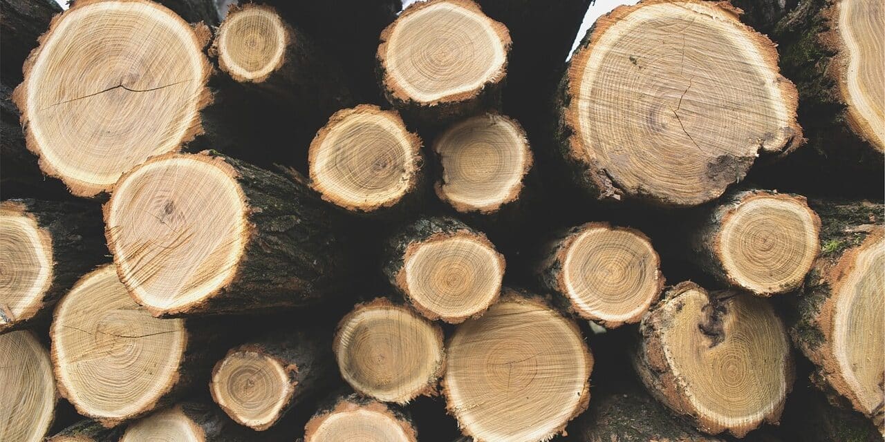 logs-690100_1280