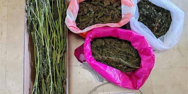 droga