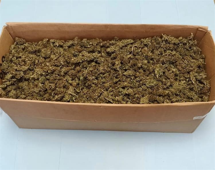 marihuana