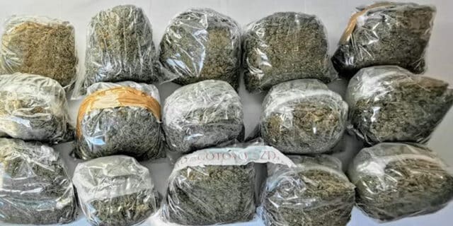 marihuana-droga