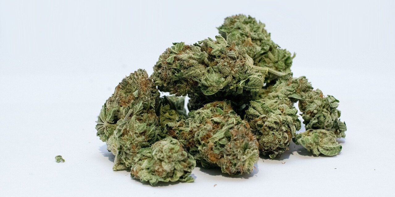 marijuana-2174302_1280