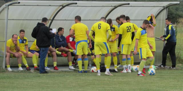 mladost