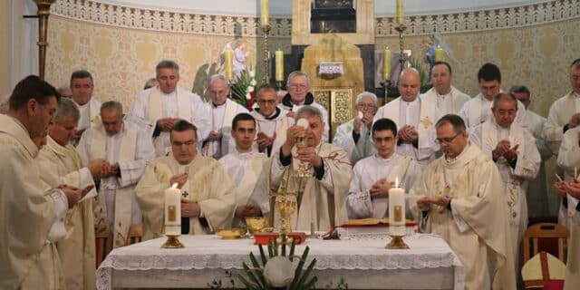 mrzljak_zlatna_misa (18)