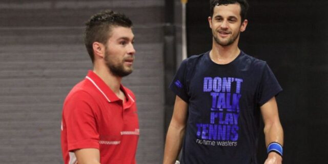 pavić mektić