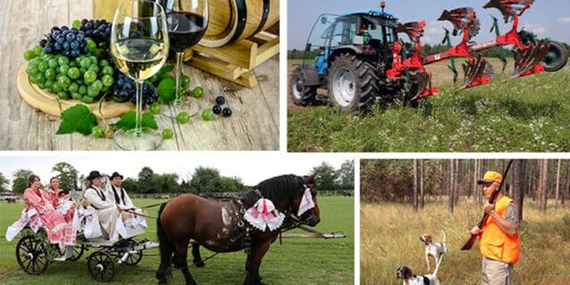 poljoprivreda_-_udruge.jpg__648x432_q85_crop_subsampling-2_upscale