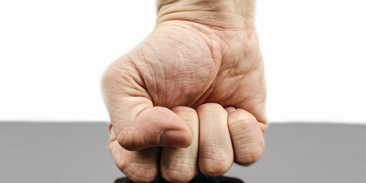 punch-316605_1280
