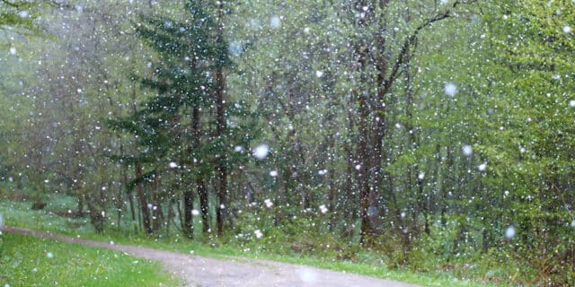 rain-2775032_1280