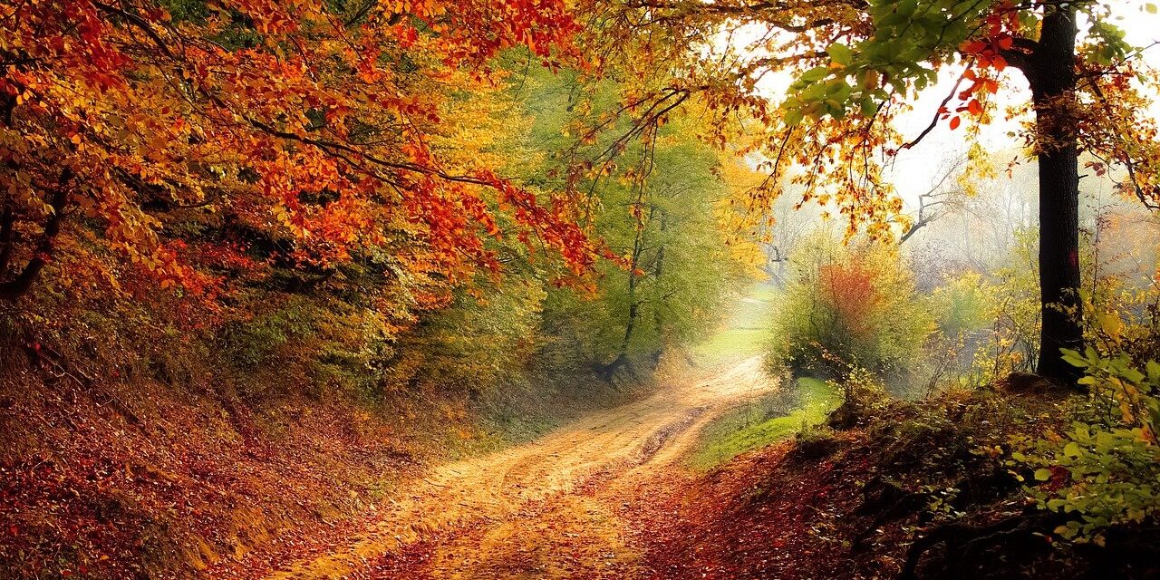 road-g5ca5d7289_1280