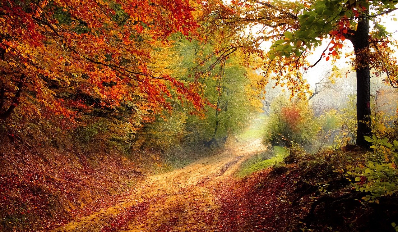 road-g5ca5d7289_1280