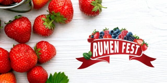 rumen