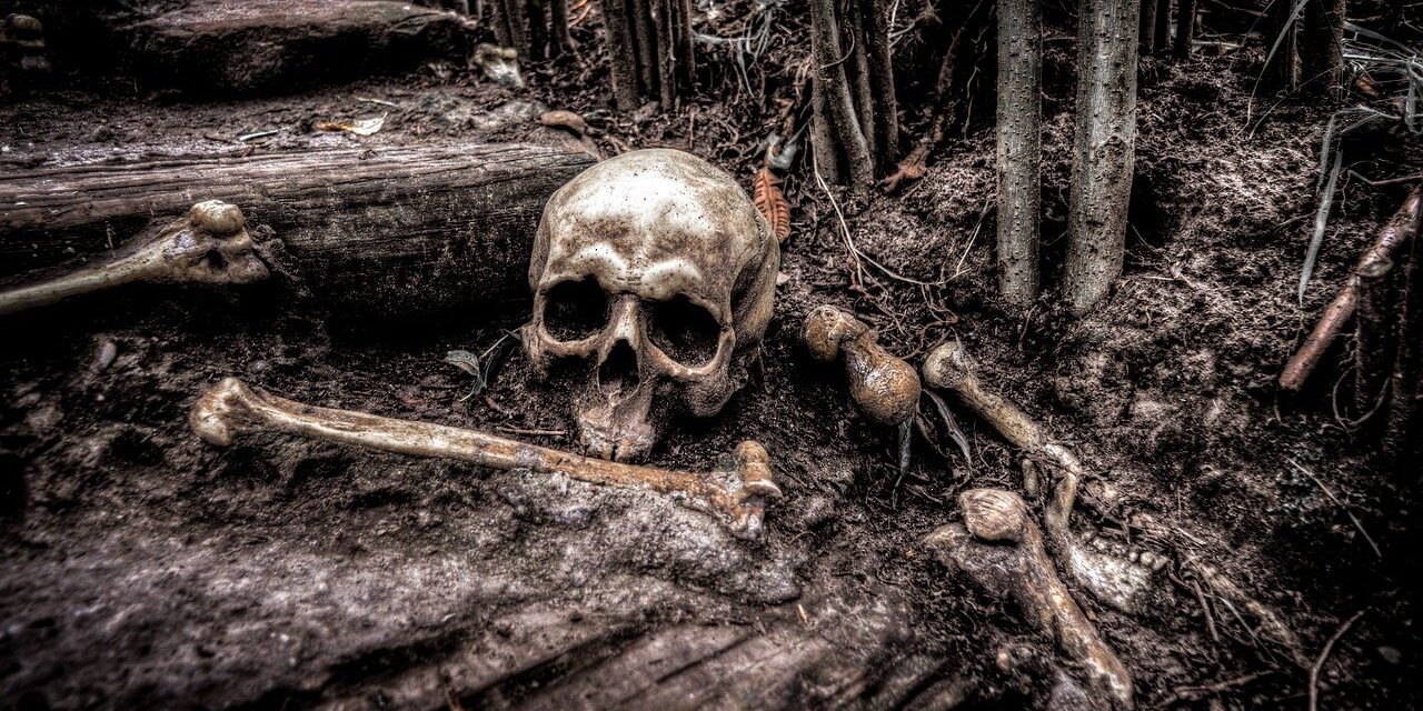 skull-2525192_1280