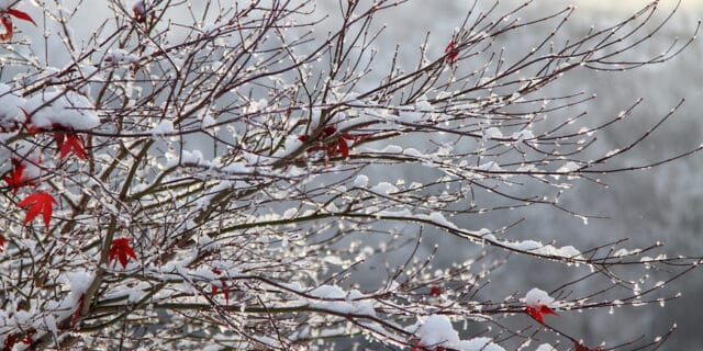 snow-2595472_1280