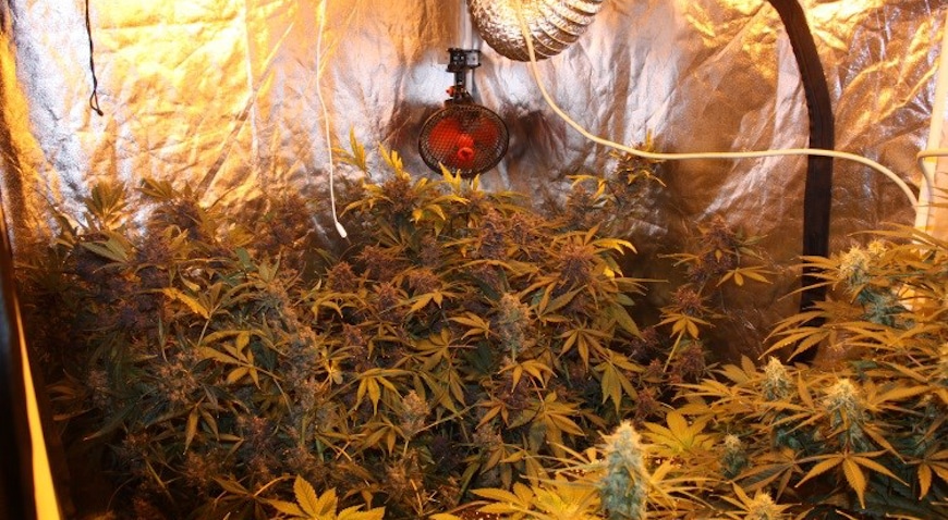 stupnik droga