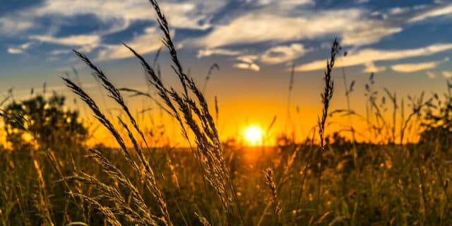 summer-2391348_1280