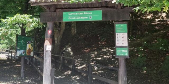 šumska staza bliznec
