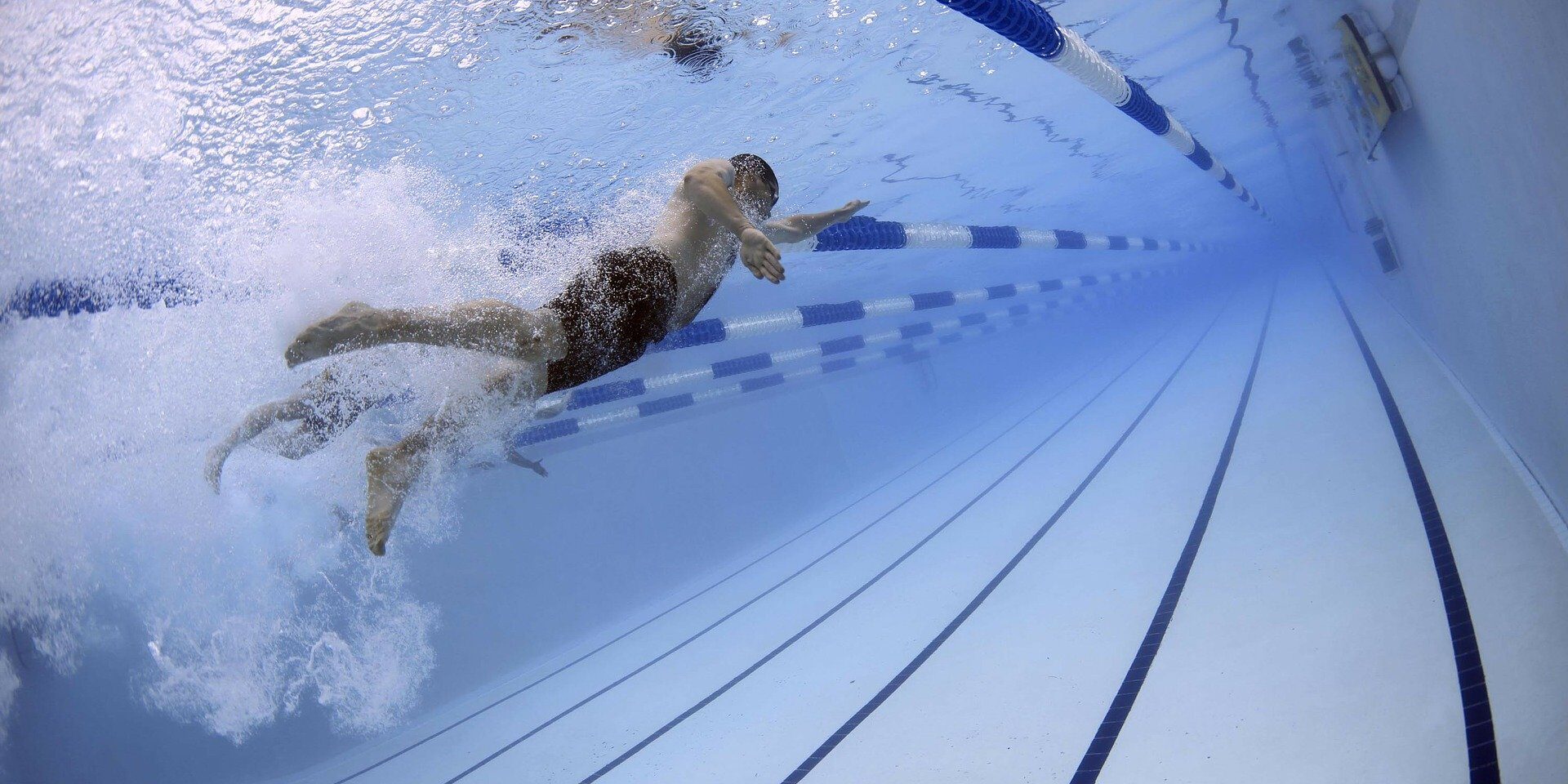 swimmers-79592_1920