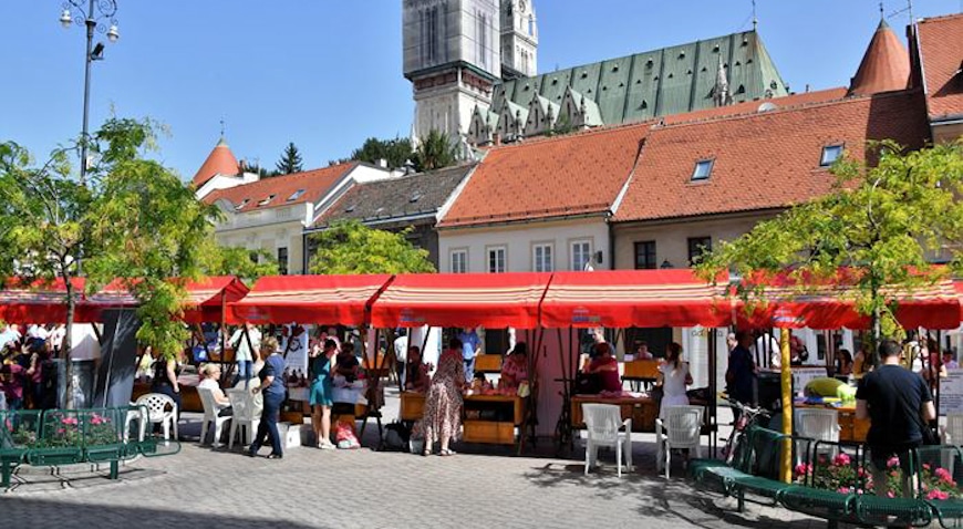 tjedan udruga 2019 (1)