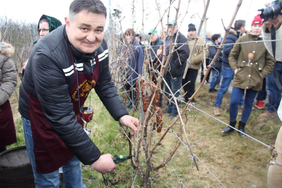vincekovo7