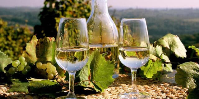 vino-visitmedimurje_57974d8f950fc-1