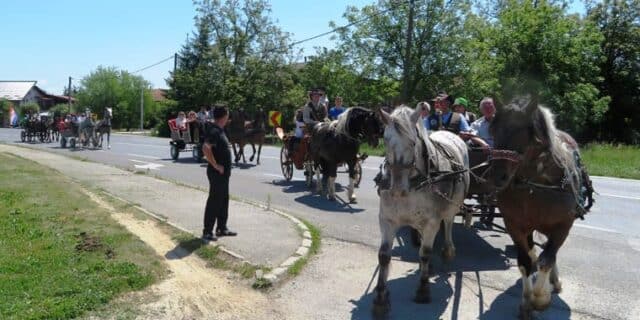 vozočasšće