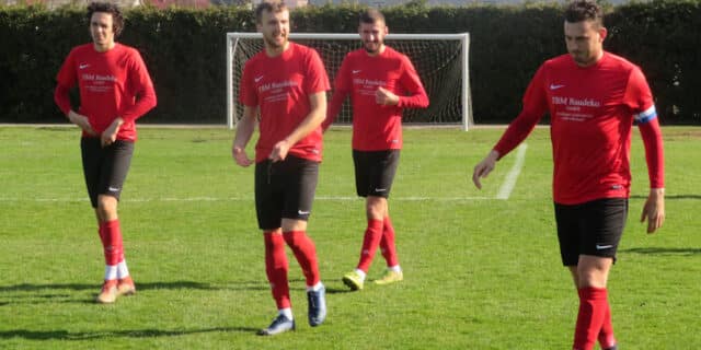 vrb-tondach 1