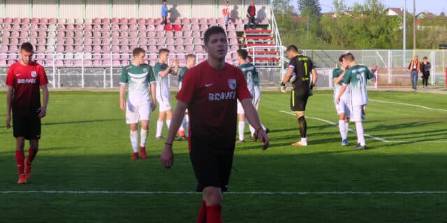 vrbovec-ponikve