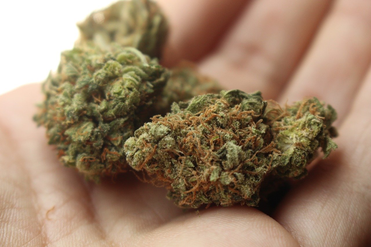 weed-2517251_1280