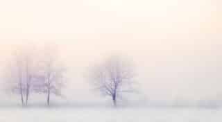 winter-landscape-2571788_1280