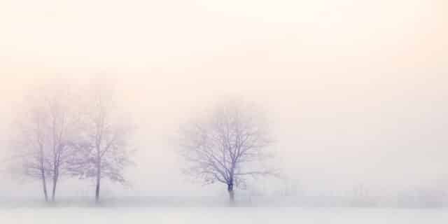 winter-landscape-2571788_1280