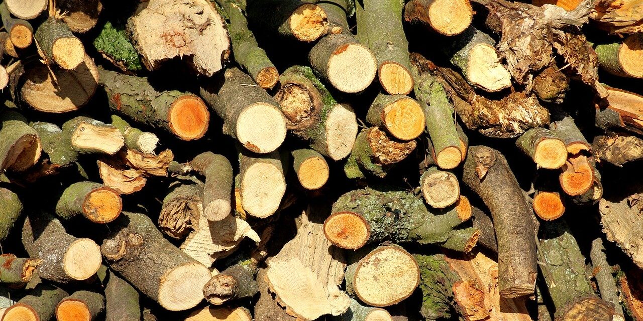 wood-4835890_1280