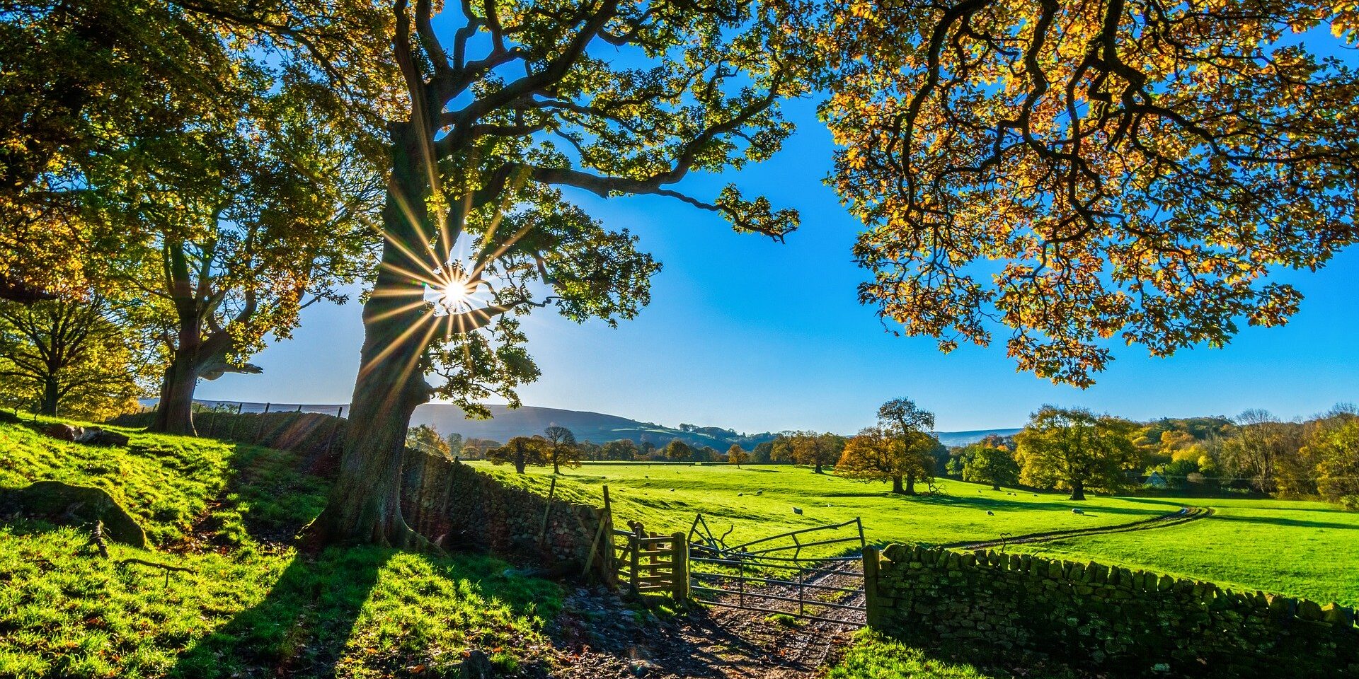 yorkshire-2900064_1920