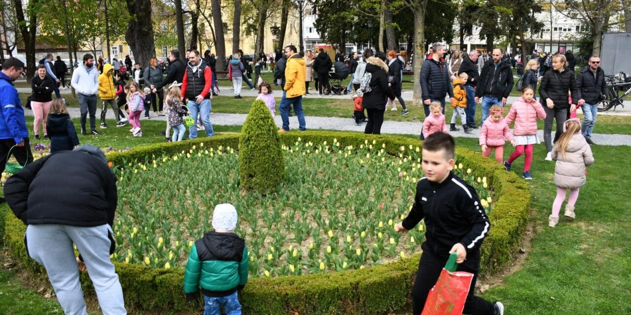 Bjelovar: Održana velika potraga za 5000 čokoladnih pisanica