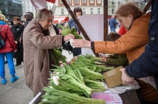 Zagreb: Održana humanitarna akcija “Omiljeni cvijet Ane Rukavine”